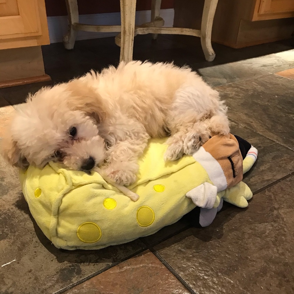 For my new pff ❤️❤️